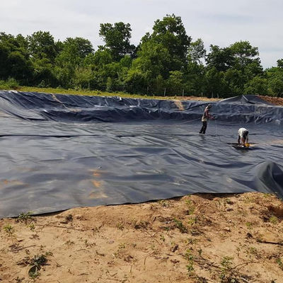 Fácil de instalar 2 mm HDPE Geomembrane Liner para comer en el estanque de cultivo de camarón de pescado