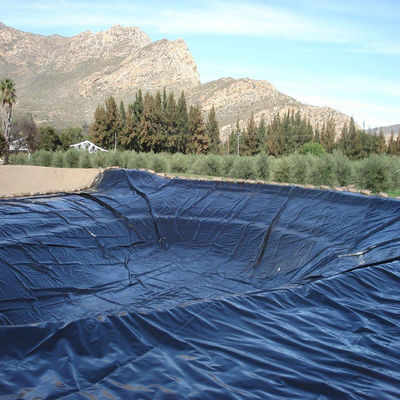 Diseño industrial 0,5 mm HDPE Geoliner liso para estanques de pescado para acuicultura