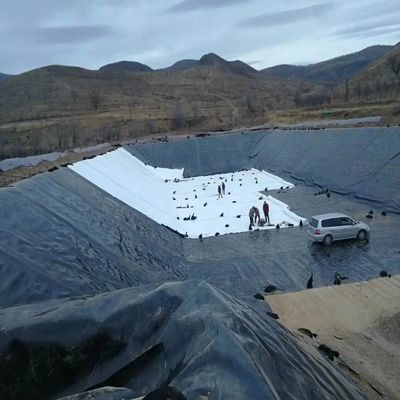 Geomembrana de HDPE de 1m-8m de ancho para la cría de camarones de pescado con máxima protección y eficiencia