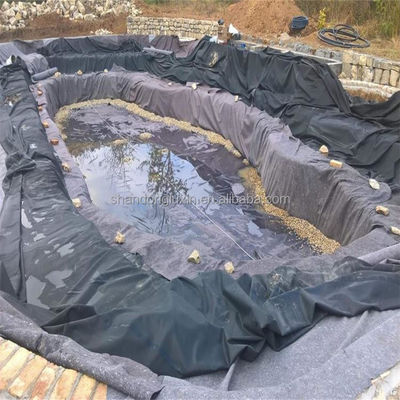 Geomembrana de HDPE de 1m-8m de ancho para la cría de camarones de pescado con máxima protección y eficiencia