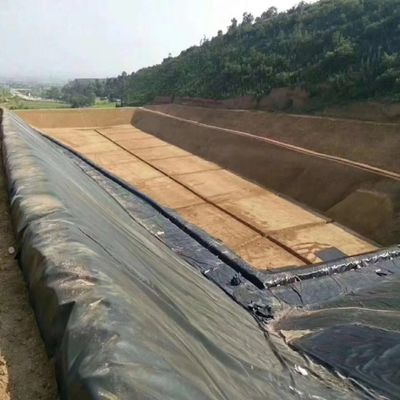 Geomembrana de HDPE de 1m-8m de ancho para la cría de camarones de pescado con máxima protección y eficiencia