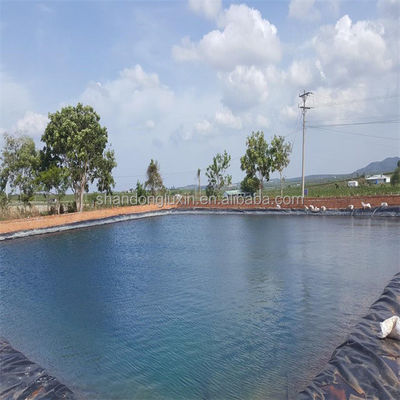 Geomembrana de HDPE de 1m-8m de ancho para la cría de camarones de pescado con máxima protección y eficiencia