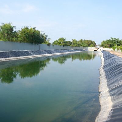Geomembrana de plástico HDPE impermeable de rollo de alta densidad para lago artificial a prueba de agua