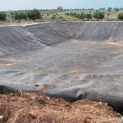Precio de los contenedores de geomembrana para vertederos de HDPE impermeable 1mm 1.5mm para embalses en Kenia