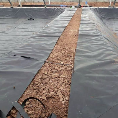 Precio de los contenedores de geomembrana para vertederos de HDPE impermeable 1mm 1.5mm para embalses en Kenia