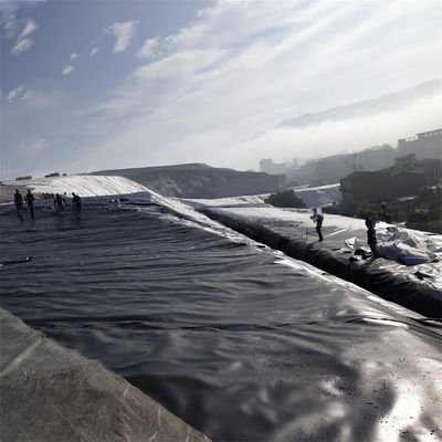 Liner de estanque de pescado de geomembrana plegable en negro o color personalizado para la cría de cangrejos