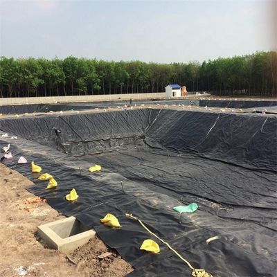 Agricultura pesquera estanque presa depósito de basura Liner Geomembrana HDPE 0,5 mm 0,75 mm 1,0 mm 1,5 mm 2,0 mm 3,0 mm