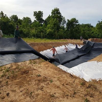 Agricultura pesquera estanque presa depósito de basura Liner Geomembrana HDPE 0,5 mm 0,75 mm 1,0 mm 1,5 mm 2,0 mm 3,0 mm