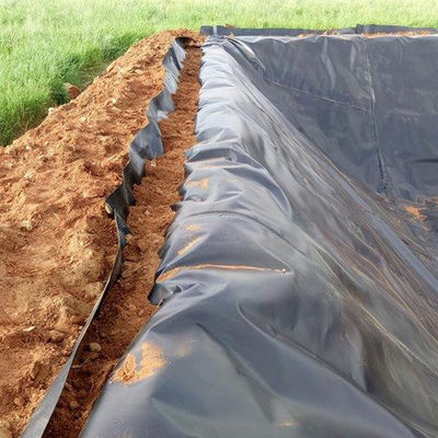 50-100m Longo Liner de geomembrana de HDPE para geomembranas de estanques de polietileno de densidad