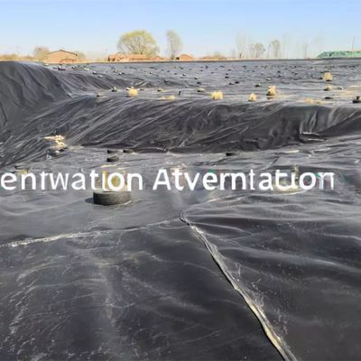 Geomembrana brillante impermeable estilo de diseño industrial para 0,75 mm 1 mm 1,5 mm HDPE LDPE
