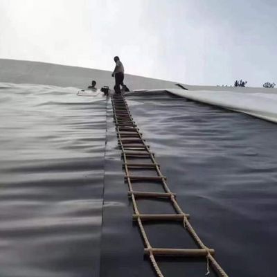 Solución de impermeabilización duradera de geomembrana HDPE de alta densidad para el revestimiento de estanques de piscifactorías