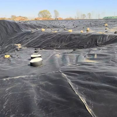 Superficie doble lisa 0,5 mm LDPE LLDPE HDPE Geomembrana para el revestimiento de presas de la industria pesquera