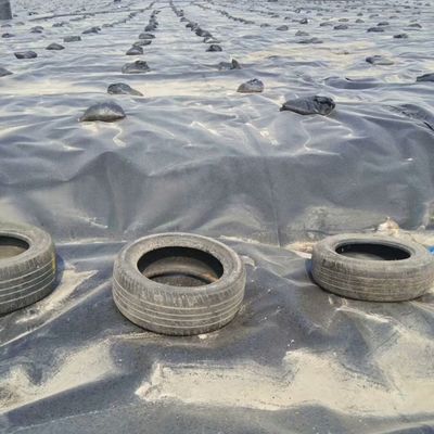 Superficie doble lisa 0,5 mm LDPE LLDPE HDPE Geomembrana para el revestimiento de presas de la industria pesquera