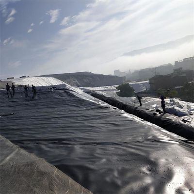 Venta directa Geomembrana lisa de HDPE con entrenamiento en el sitio y grosor de 0,1 mm a 2,5 mm