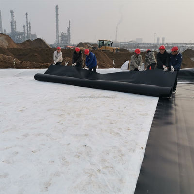 Venta directa Geomembrana lisa de HDPE con entrenamiento en el sitio y grosor de 0,1 mm a 2,5 mm