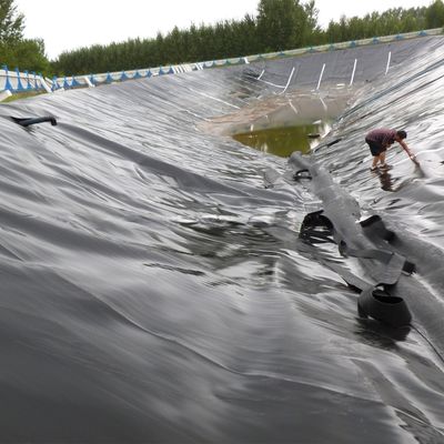 Venta directa Geomembrana lisa de HDPE con entrenamiento en el sitio y grosor de 0,1 mm a 2,5 mm