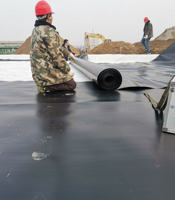 Geomembrana de HDPE de doble textura para tanque de crianza de peces con lonas