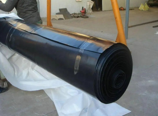 Geomembrana de HDPE de doble textura para tanque de crianza de peces con lonas