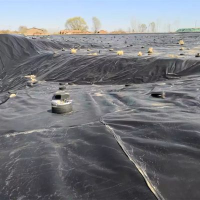 Geomembrana de HDPE de 50-100m de longitud para el revestimiento de estanques de peces impermeable en la piscina