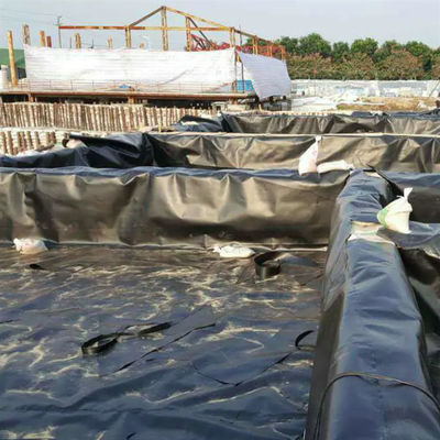 Geomembrana de HDPE de 50-100m de longitud para el revestimiento de estanques de peces impermeable en la piscina