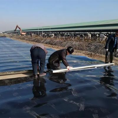 1 mm 2 mm de espesor HDPE Geomembrana para estanques de peces para impermeabilización artificial de lagos