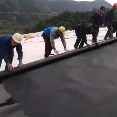 Geomembrana HDPE de doble superficie lisa/doble textura para revestimiento de estanques impermeable de plástico