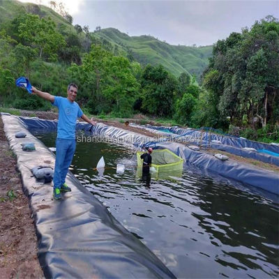 0.75mm HDPE Geoembrana Membrana a prueba de agua para acuicultura