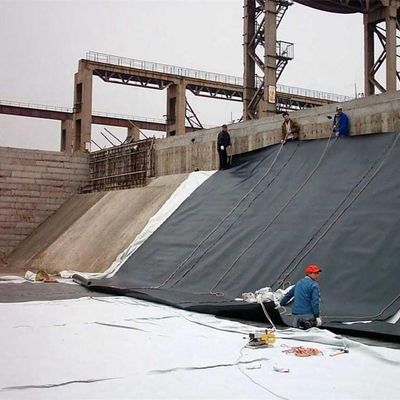 Geomembranas para el exterior 0,5 mm 0,75 mm 1,0 mm 1,5 mm 2,0 mm HDPE