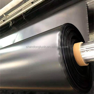 Geomembrana de HDPE de doble textura y doble liso para embalse de presas mineras estanque de piscifactoría