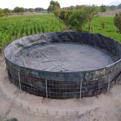 Damión de hidrógeno flexible de estanque geomembrana de recubrimiento longitud 50m-100m para la acuicultura de biodigestor