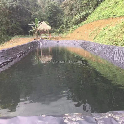 50-100m de longitud Hdpe de plástico Geomembrana de la hoja de impermeabilización para la acuicultura
