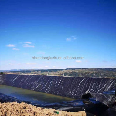 Hdpe Negro Plastic Liner Granja de peces estanque Liner Piscina Geomembrana de alta densidad Hdpe