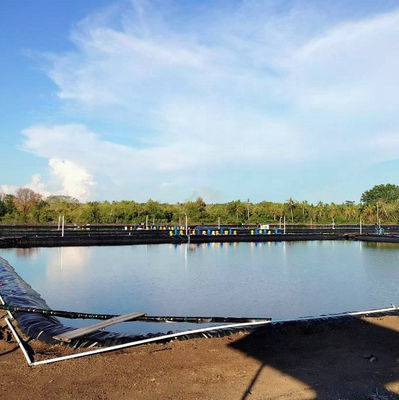 Solución total para proyectos de impermeabilización de estanques de peces de geomembrana HDPE 0.3mm-3mm