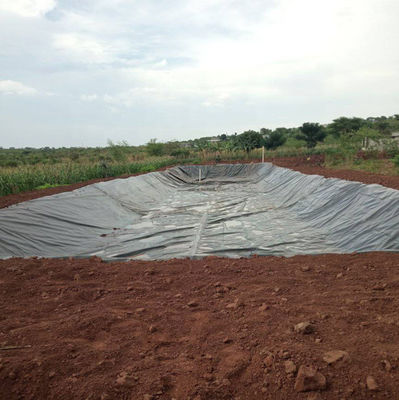Liner para estanques de peces con geomembrana de HDPE de 500 micras para impermeabilización y impermeabilización