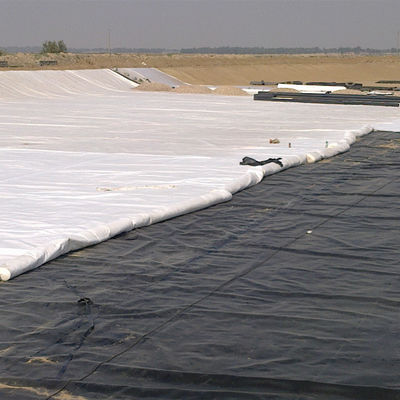 1 mm de geomembrana HDPE para estanques de pescado para estanques agrícolas en textura doble blanca