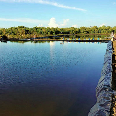 Estilo de diseño industrial 0,5 mm 0,75 mm 1 mm Geomembrana de HDPE para revestimiento de estanques agrícolas