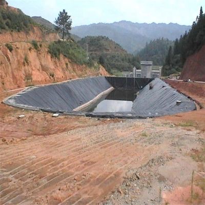 Estilo de diseño industrial 0,5 mm 0,75 mm 1 mm Geomembrana de HDPE para revestimiento de estanques agrícolas