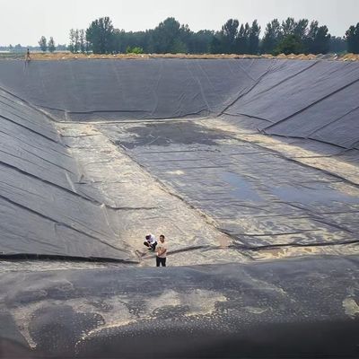 Apoyo técnico en línea HDPE LDPE LLDPE membrana de drenaje impermeable para estanques de revestimiento de estanques para productos de movimiento de tierra