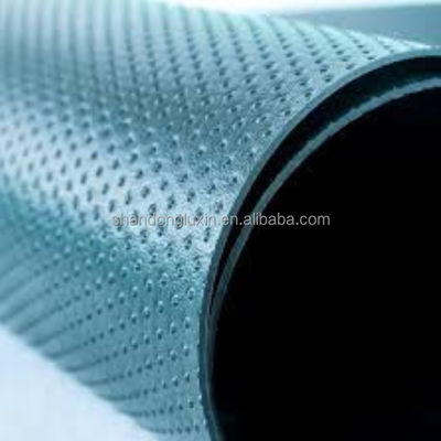 Membrana geomembrana de HDPE para exteriores Membrana impermeable para materiales geosintéticos LDPE EVA