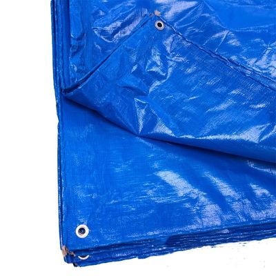 Tenda de lonas de PE azul recubierta para camión estilo impermeable a la lluvia contacto contacto