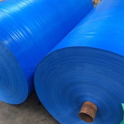 Tenda de lonas de PE azul recubierta para camión estilo impermeable a la lluvia contacto contacto