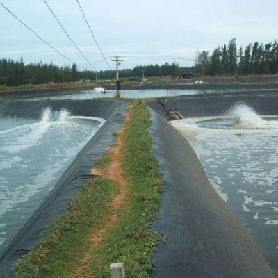 Geomembrana para el tanque artificial del lago longitud 50-200m impermeable y duradero