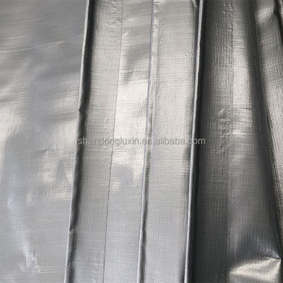 Plata Gris PE Tarpaulin A prueba de humedad A prueba de polvo A prueba de luz solar A prueba de lluvia Robusto y duradero