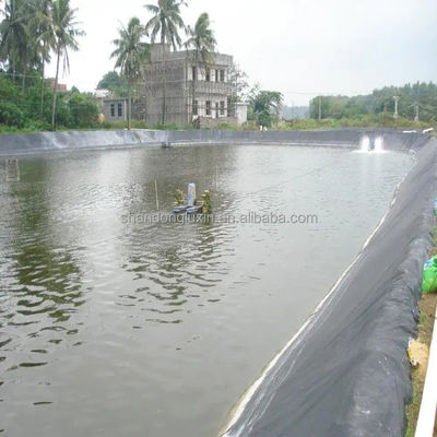 Geomembrana negra de HDPE respetuosa con el medio ambiente para estanques de pescado ASTM GRI-GM13