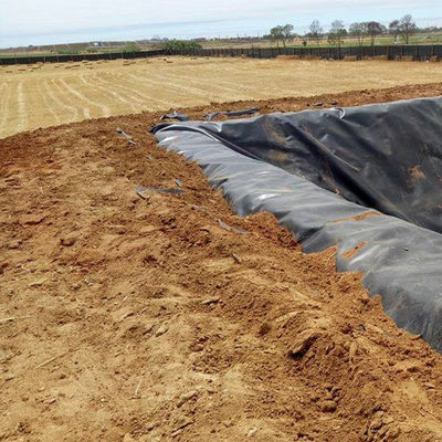Geomembrana de HDPE resistente a las lágrimas de 1 mm y 2 mm para revestimiento de estanques de peces resistentes a ácidos y álcalis