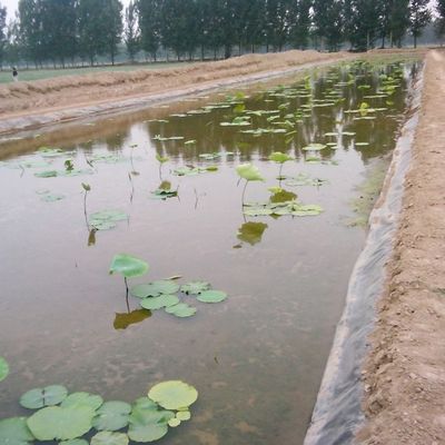 Geomembrana de HDPE doble lisa a prueba de agua para estanques de peces lisas y vertederos