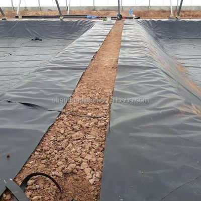Geomembrana de textura única para vertederos, antifiltración y prevención de la contaminación