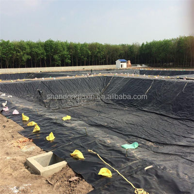 Geomembrana personalizada para estanques de peces e ingeniería civil 1 mm-2 mm de espesor Durable