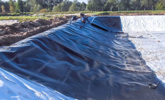 Diseño moderno Negro HDPE Geomembrana lisa 0,5 mm 1 mm para vertederos y estanques de peces