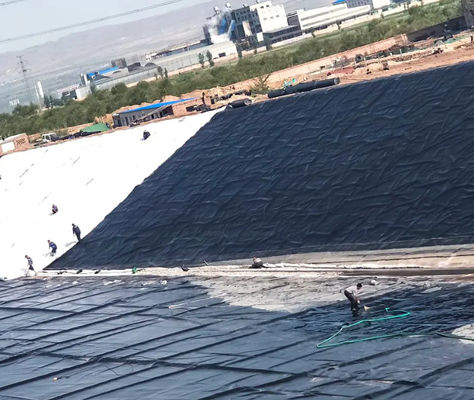 Diseño moderno Negro HDPE Geomembrana lisa 0,5 mm 1 mm para vertederos y estanques de peces